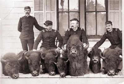 Men standing with severed bison heads, black and white photo
