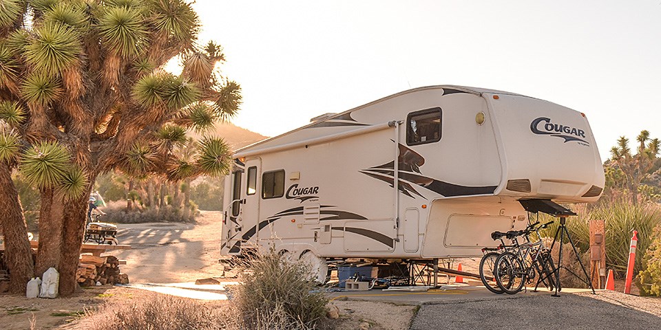 A towed camper is parked in a campsite next to a joshua tree