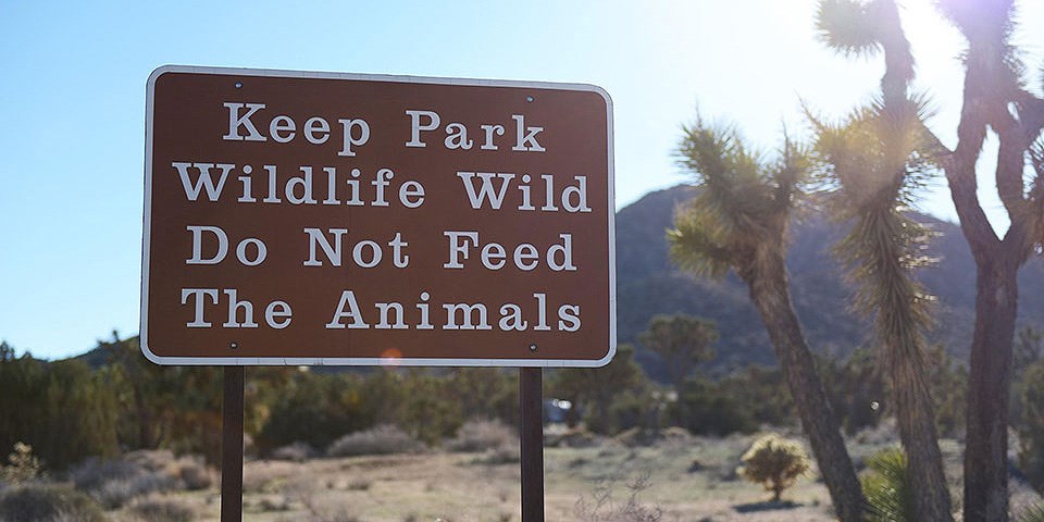 Park sign reads: Keep Park Wildlife Wild Do Not Feed The Animals