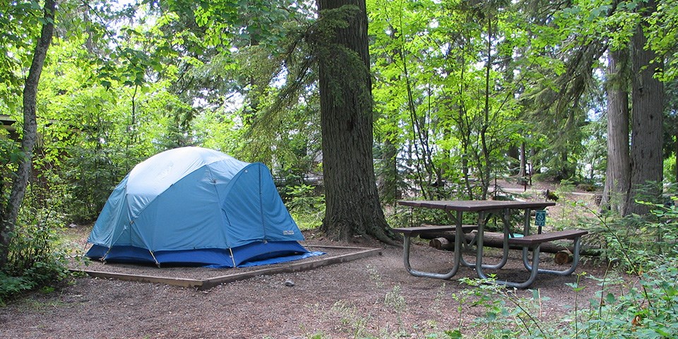 A blue tent is pitched next to a picnic table in a campground