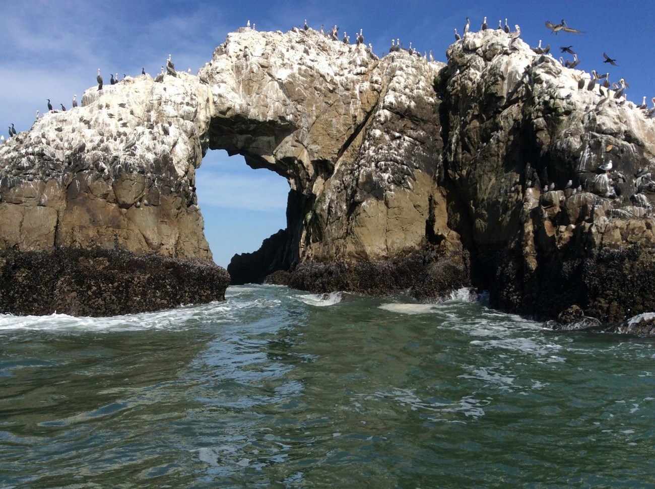 photo of a large offshore rock stained white with bird droppings