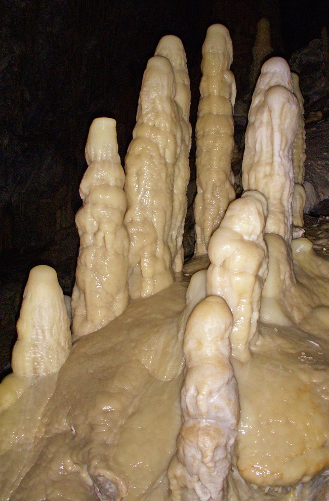 a group of mineral formations on a cave floor
