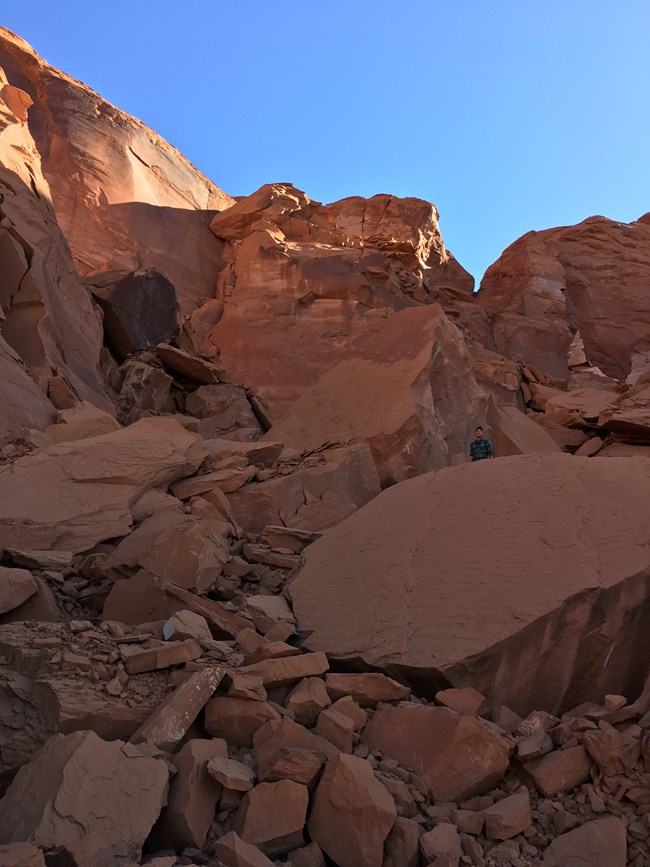 A person stands among the massive boulders of a talus field comprised of red-hued sandstone. These boulders are large, angular and a few are as big as a house.