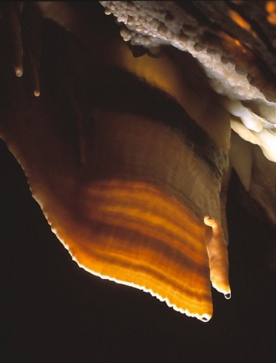 banded cave formation hanging from a cave ceiling