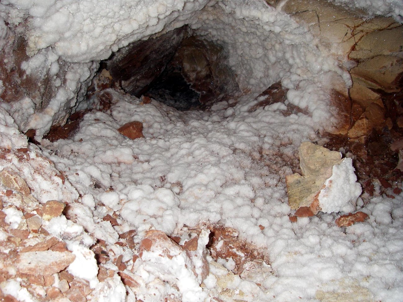 white deposits coating cave surfaces