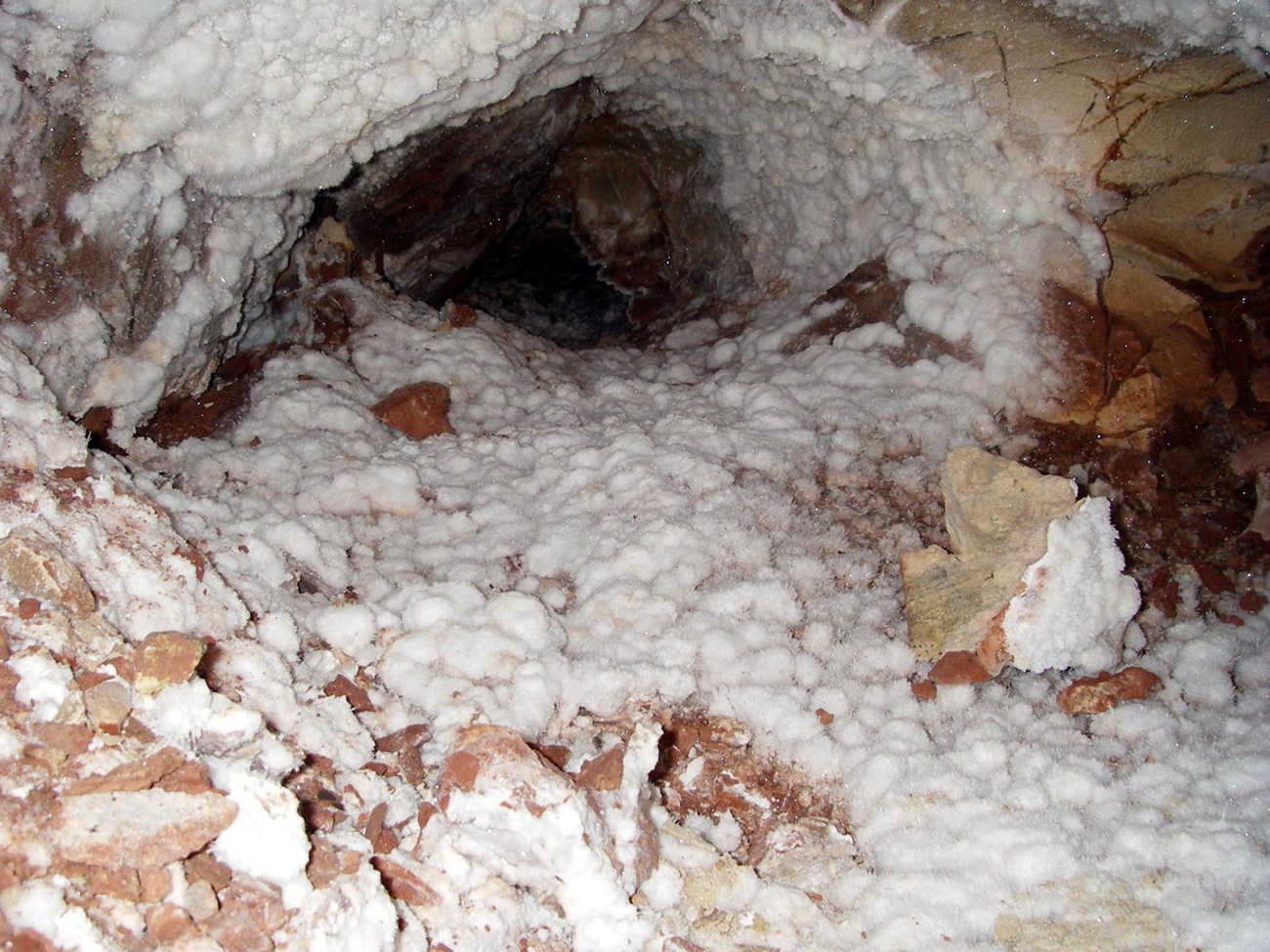 WICA Moonmilk deposits white deposits coating cave surfaces