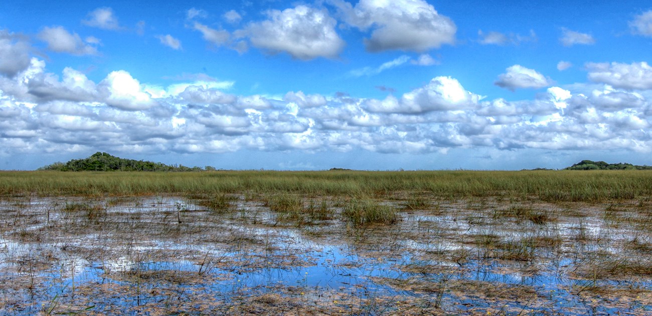 everglades national park wet season