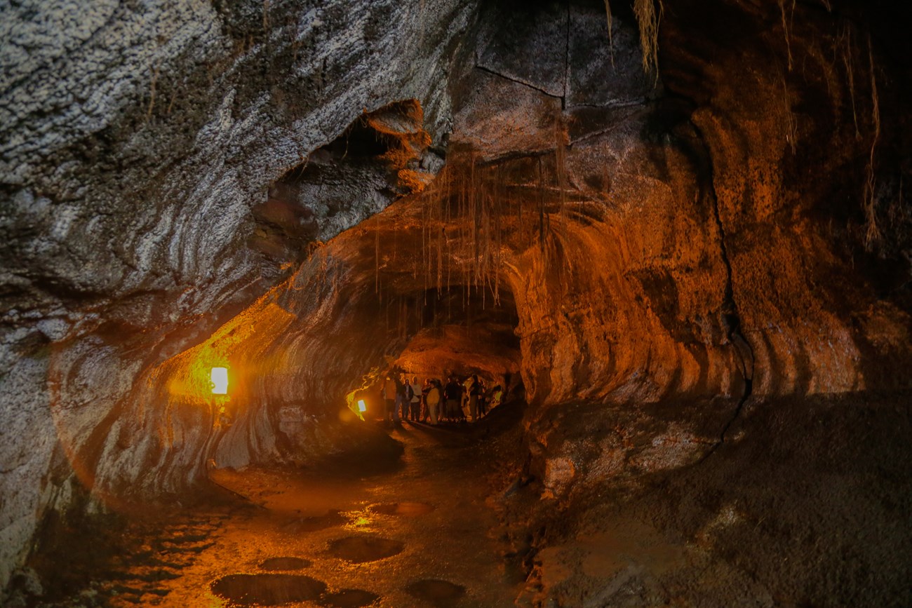 roots hanging into a lighted cave