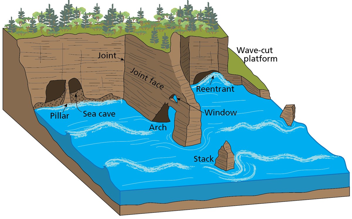 Illustration of coastal erosional features. Schematic illustration shows pillars, sea cave, arch, window, stack, reentrant, and wave cut platform. Joints and joint faces focus erosion.