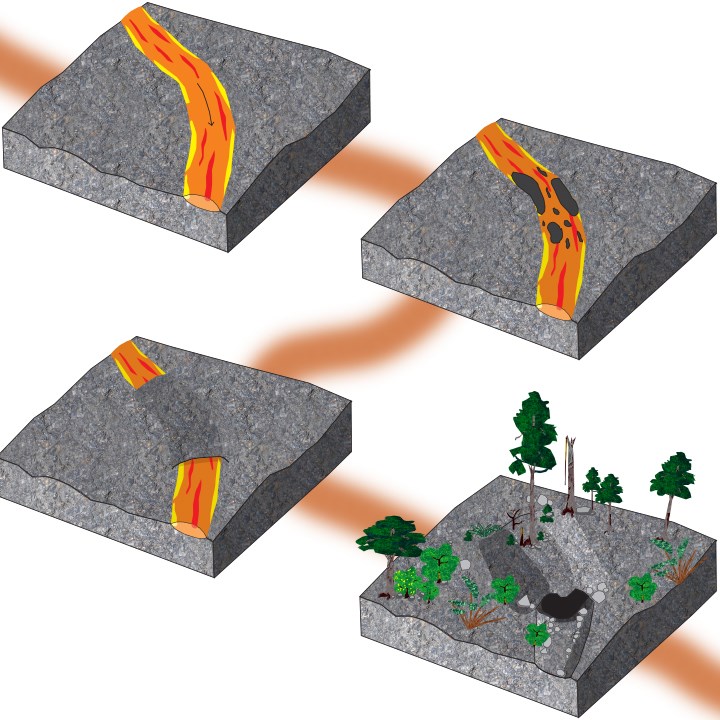 four diagrams: molten lava flows out of the ground, lava stream cools and hardens into a crust, lava inside is still molten and continues to flow, leaves an empty tunnel called a lava cave