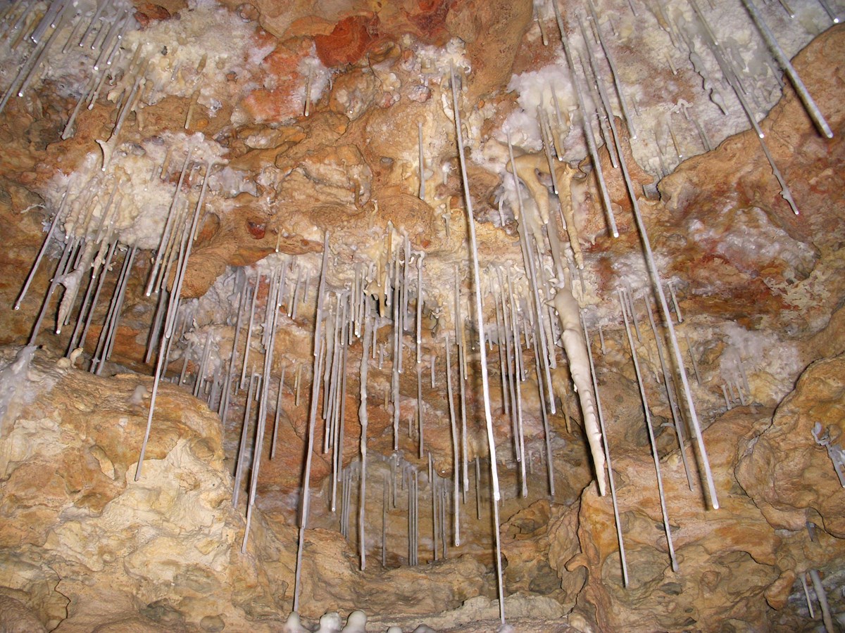 Soda straws and stalagmites adorn a limestone cave ceiling.