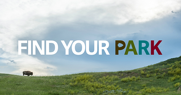 Bison on hillside with Find Your Park logo