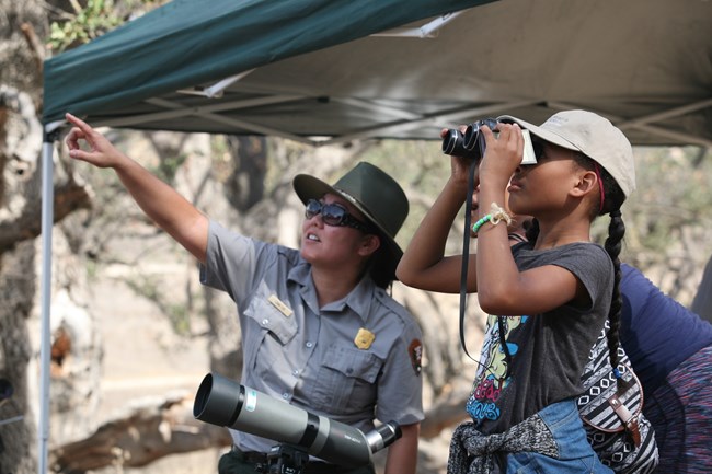 A ranger pointing to something and a girl with binoculars looking.