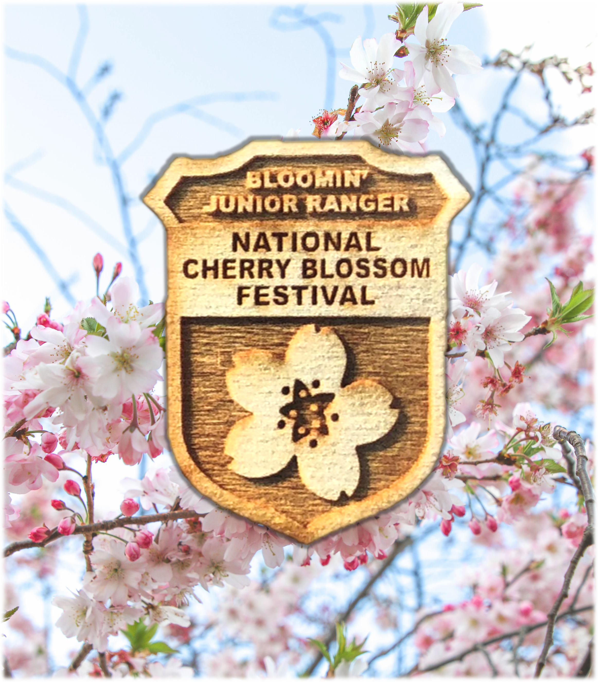 A wooden junior ranger badge with a carved cherry blossom sits atop a background of cherry blossoms