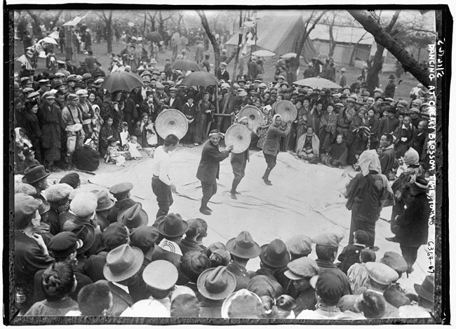 Black and white photo of people gathered at a cherry blossom festival in Japan. A crowd surrounds musicians playing percussive instruments and dancing.