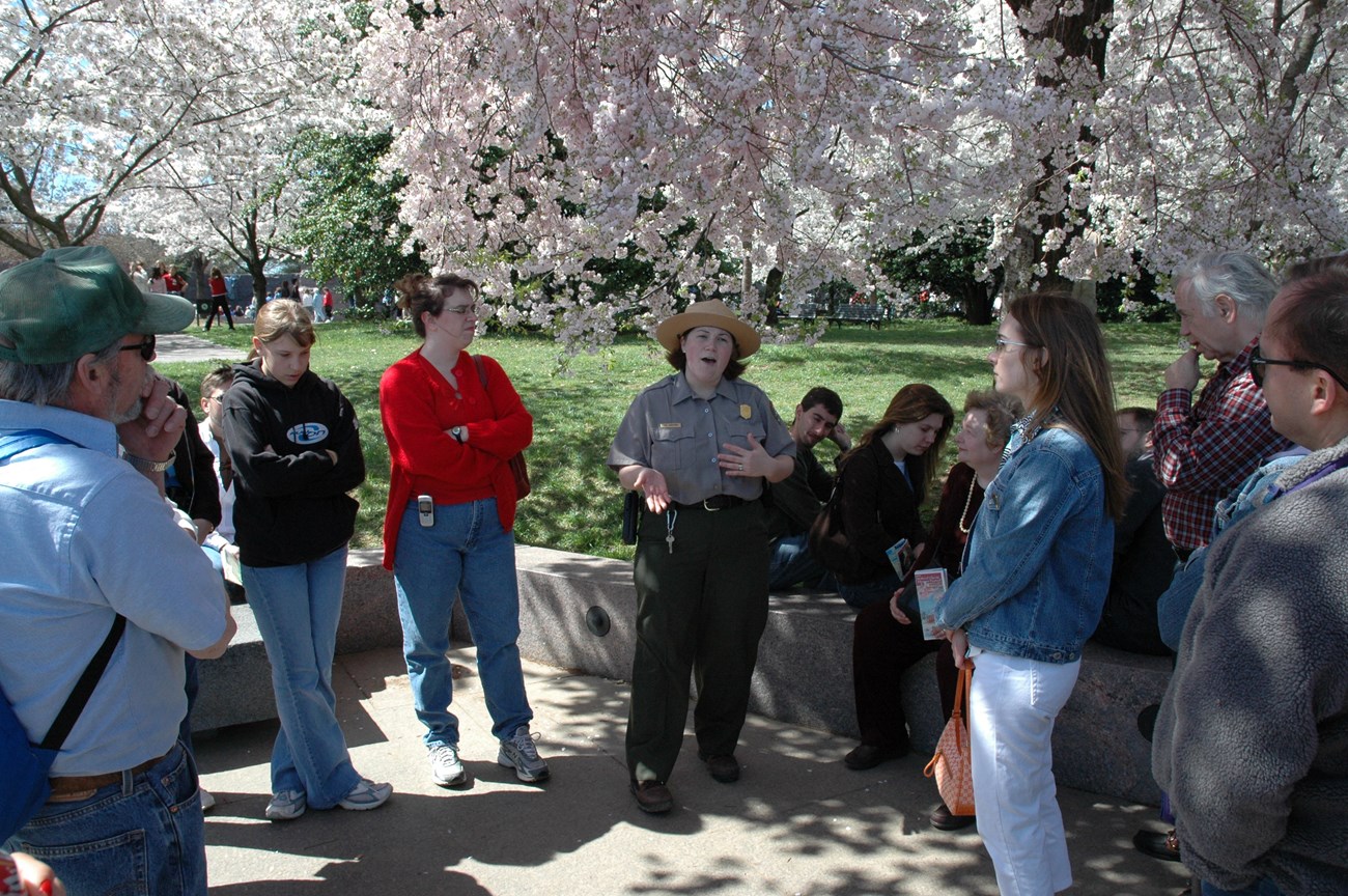 Ranger standing with visitors under the Cherry Trees.