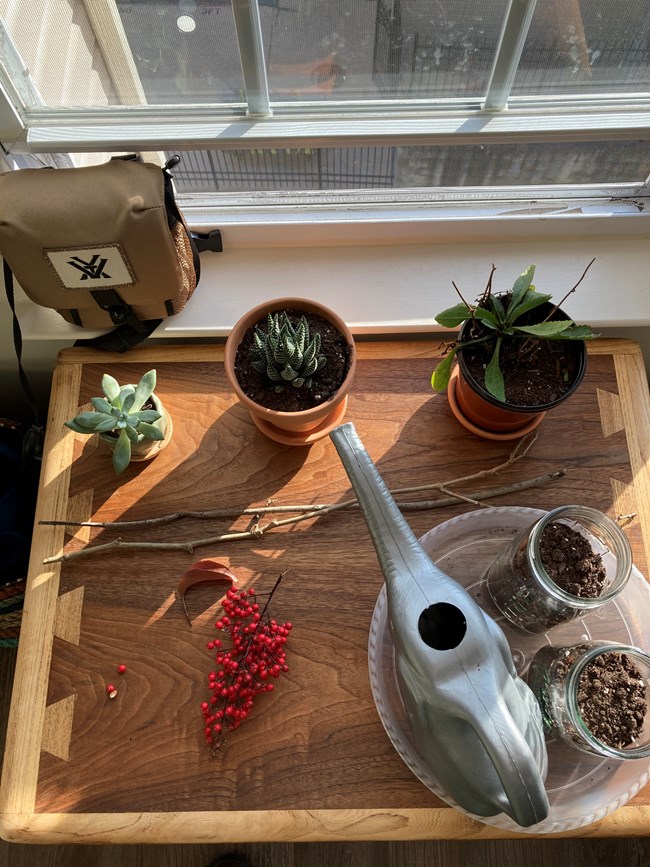 A table showing a set of props: a watering can, two clear jars of soil, two potted succulents, red berries, and twigs.