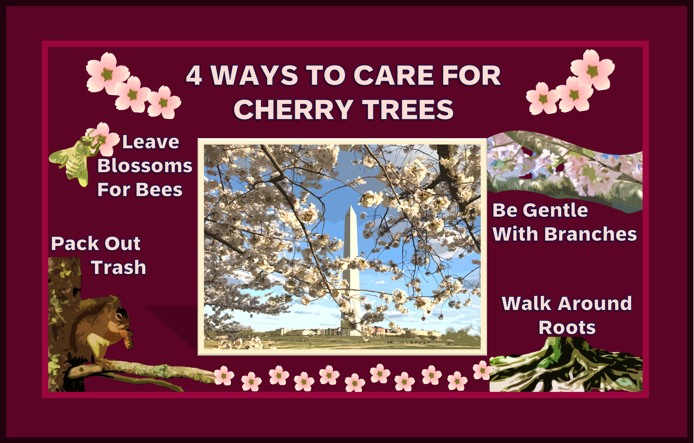 Four Ways to Care for Cherry Trees infographic