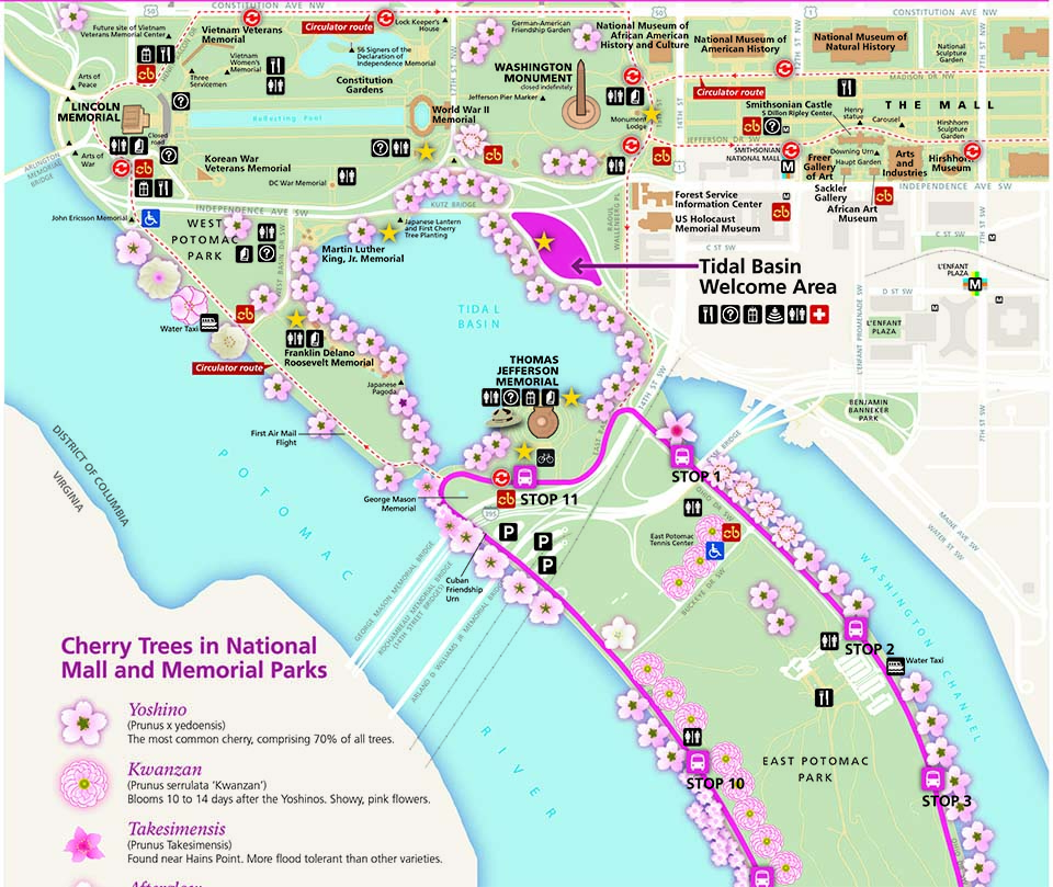 Maps Cherry Blossom Festival (U.S. National Park Service)