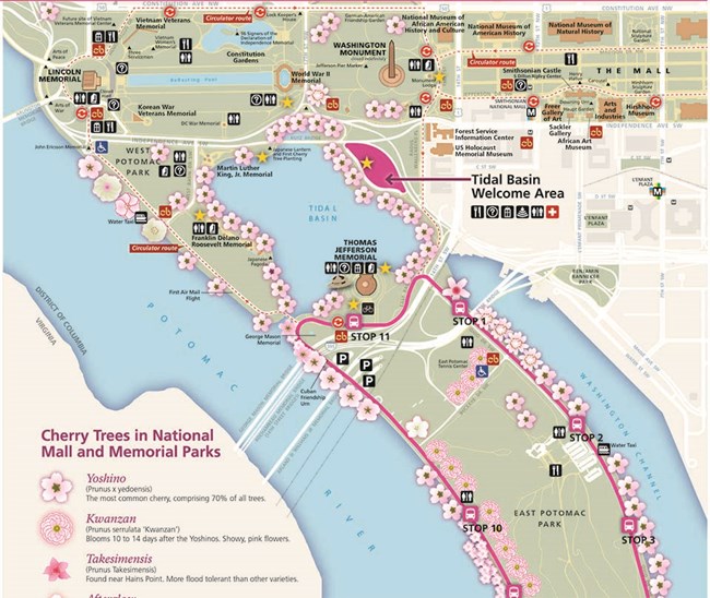 Maps Cherry Blossom Festival (U.S. National Park Service)