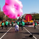 Cherry Blossom Parade