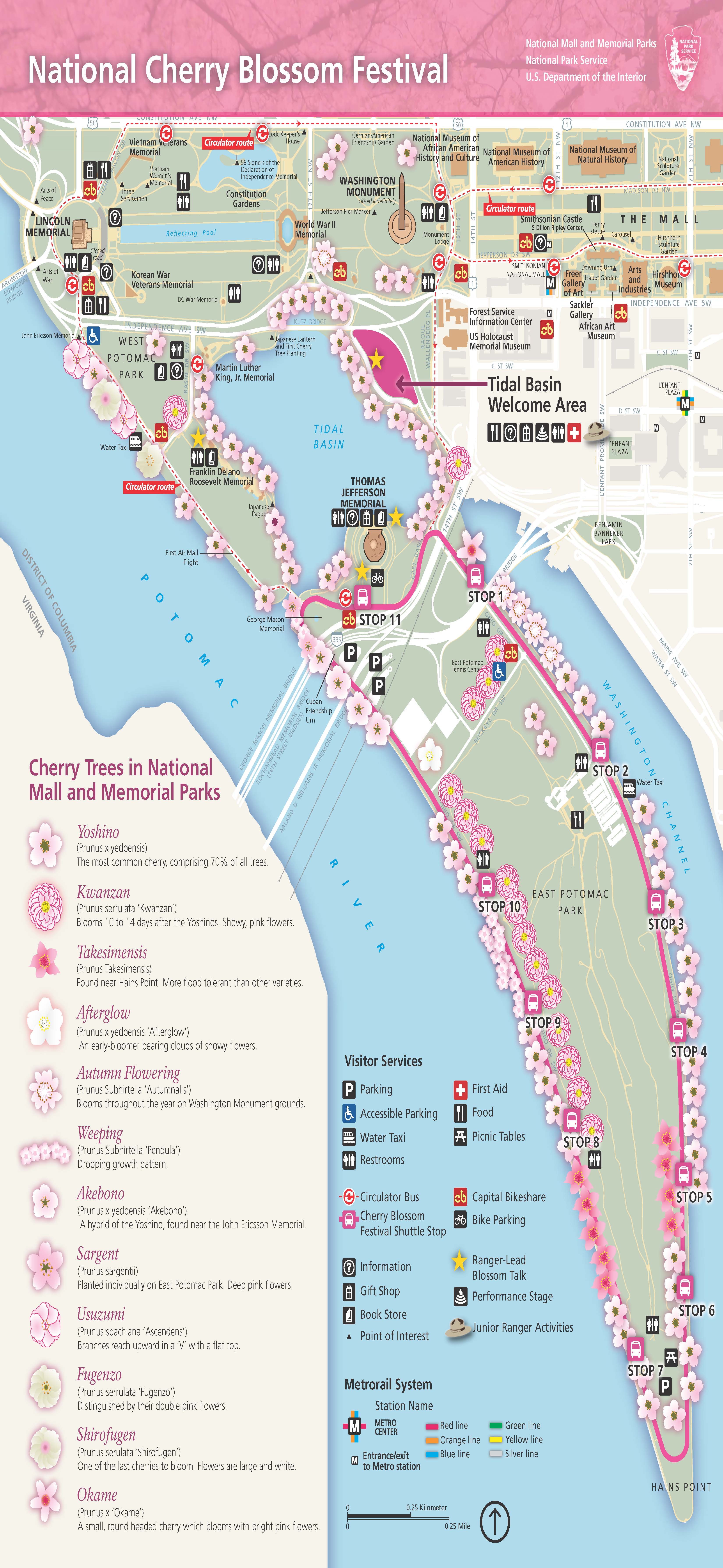 Best Place to see the Cherry Blossoms in Washington DC • Ashlea Paige