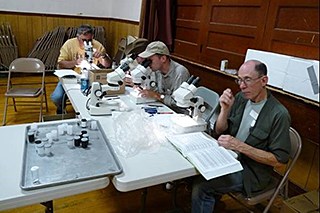 People sitting in chairs looking through microscopes