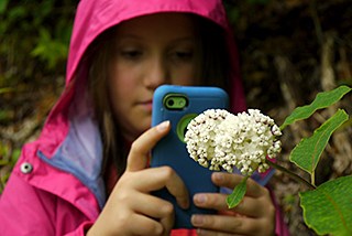 Great Smoky Mountain National Park A youth take a picture of a flower with a smartphone