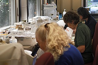 People sitting in chairs looking through microscopes