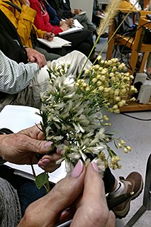 Hands holding flowers