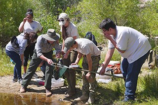 Dragonfly Mercury Project Youth stand next to a pond with dip nets