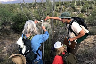 People measure a cactus