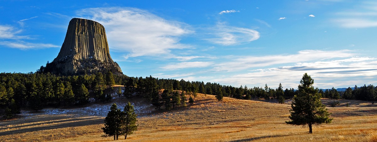 Devils Tower Devils Tower rises above a forest and golden meadow