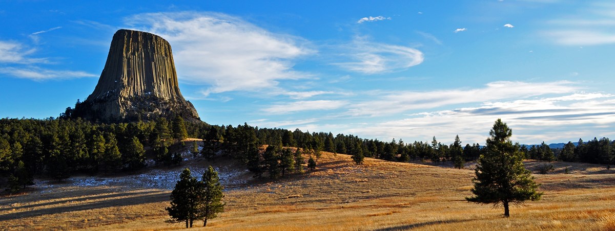 Devils Tower rises above a forest and golden meadow