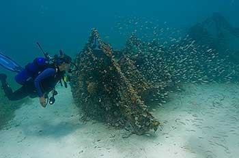 Diver off Dry Tortugas Diver off Dry Tortugas