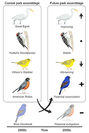 Conceptual diagram illustrating climate suitability trends and resulting changes in the bird community at Golden Gate National Recreation Area