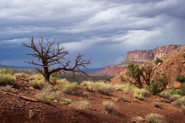 Vibrantly stratified bluffs in the distance, overlooking a large shrubby landscape.