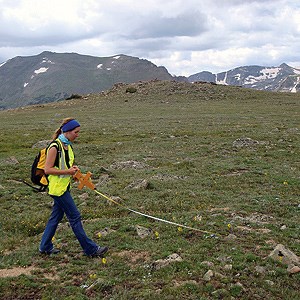 Intern laying out tape measure in alpine environment
