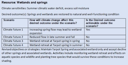 A table showing an example of scenario planning by a park.
