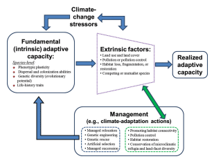 Climate Change Flow Chart