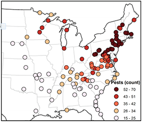 Forest change map of invasive species