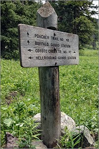 A wooden sign in grassy meadow, surrounded by forest