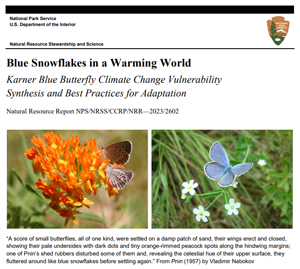 Cover of a report with two images of a blue butterfly. The title is "Blue Snowflakes in a Warming World"