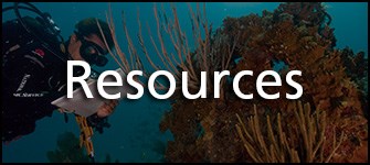 resources-button