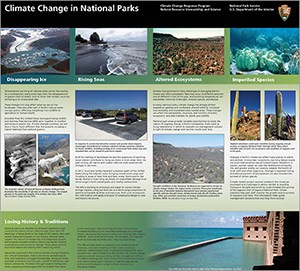 Small preview image of unfolded brochure; text is indiscernible and in four columns, integrated with images of vegetation and water bodies