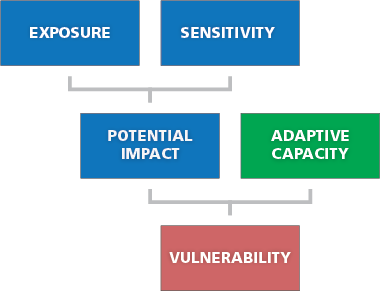 Flowchart that shows Exposure + Sensitivity = Potential Impact. Adding that with Adaptive Capacity gives you Vulnerability