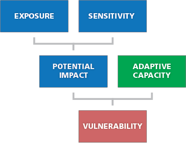 Flowchart that shows Exposure + Sensitivity = Potential Impact. Adding that with Adaptive Capacity gives you Vulnerability