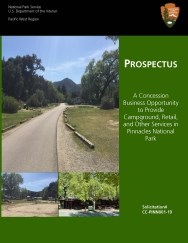 pinn001-19-thumbnail thumbnail of prospectus front cover