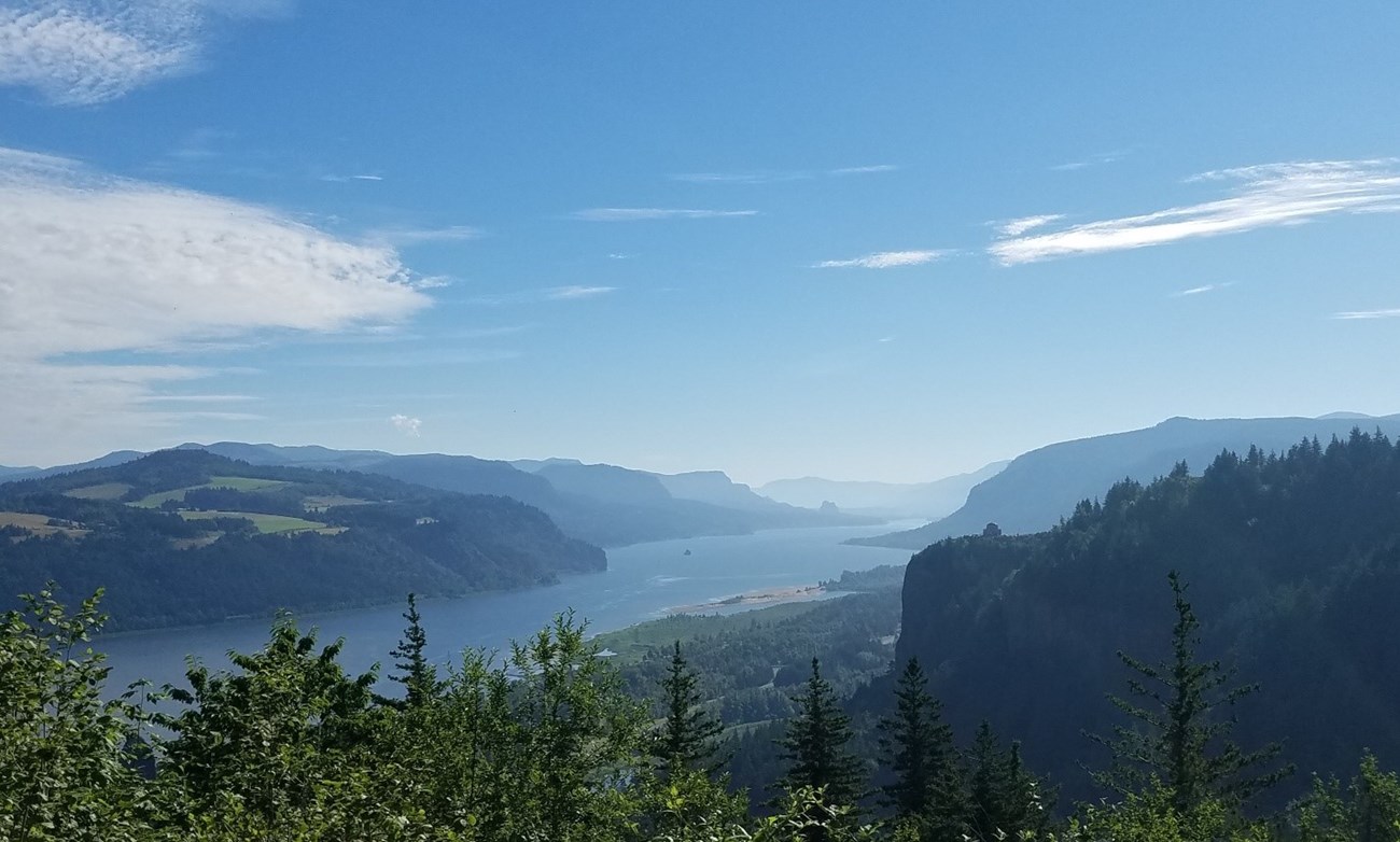 Columbia River Gorge_OR River cuts through a wide and steep valley. Evergreen trees surround.