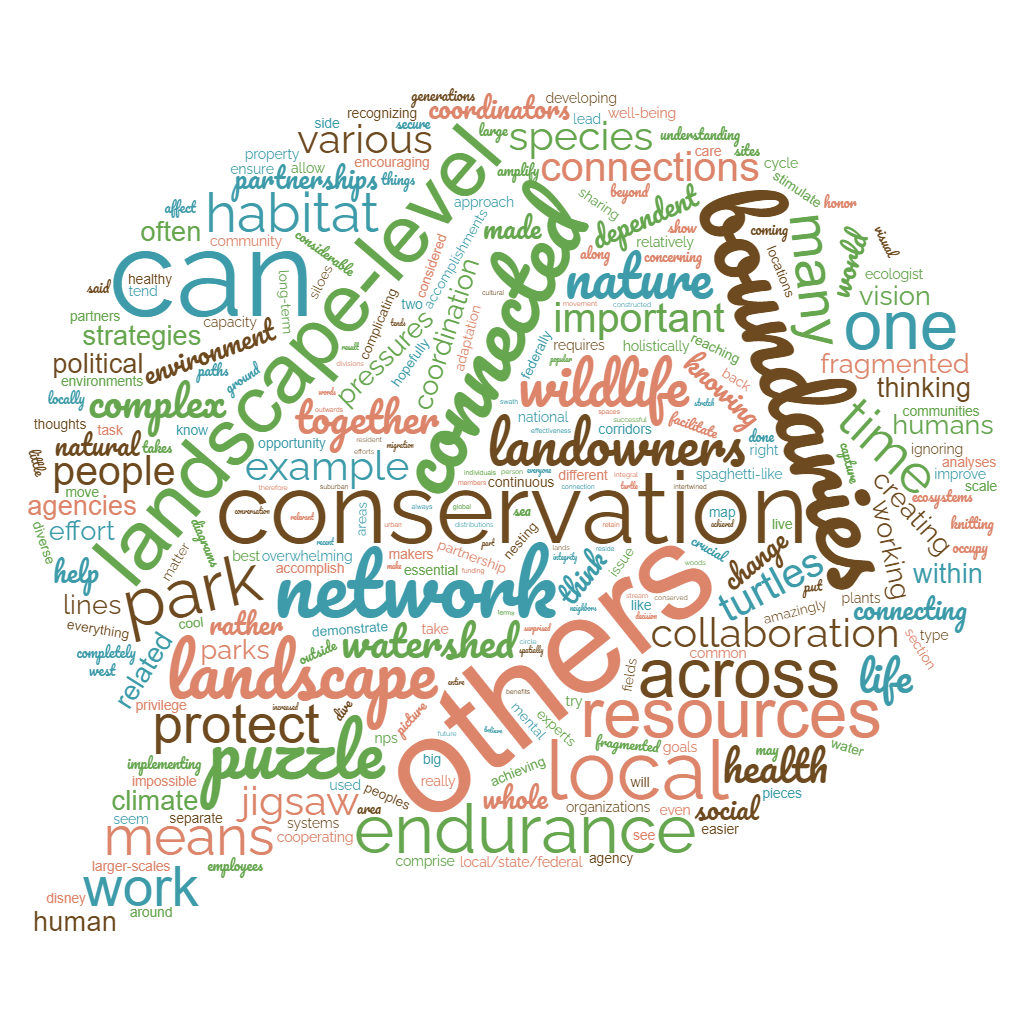 What does C2 mean to you? word cloud in shape of thought bubble that includes words like conservation, boundaries, and connections